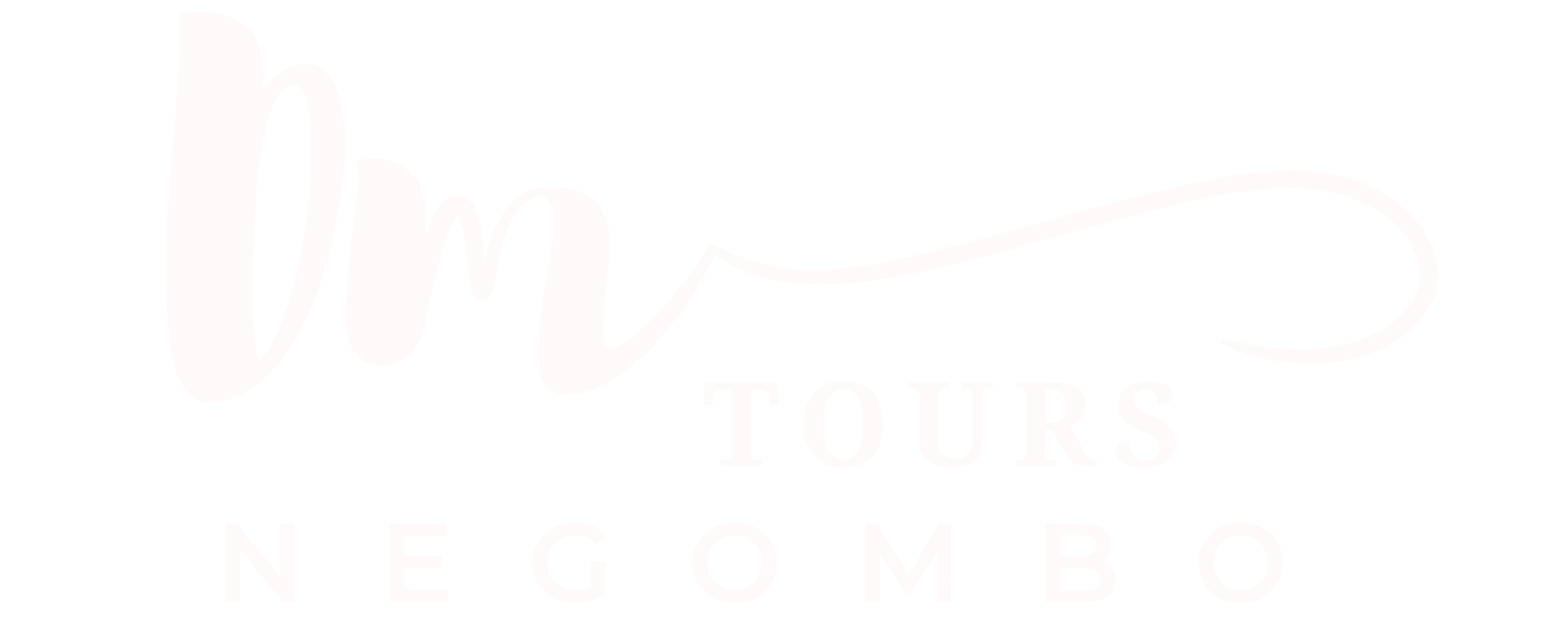 DMTOURS Footer Logo